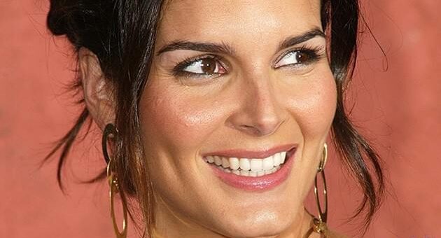 Angie Harmon Related to Mark Harmon? The Truth Revealed !